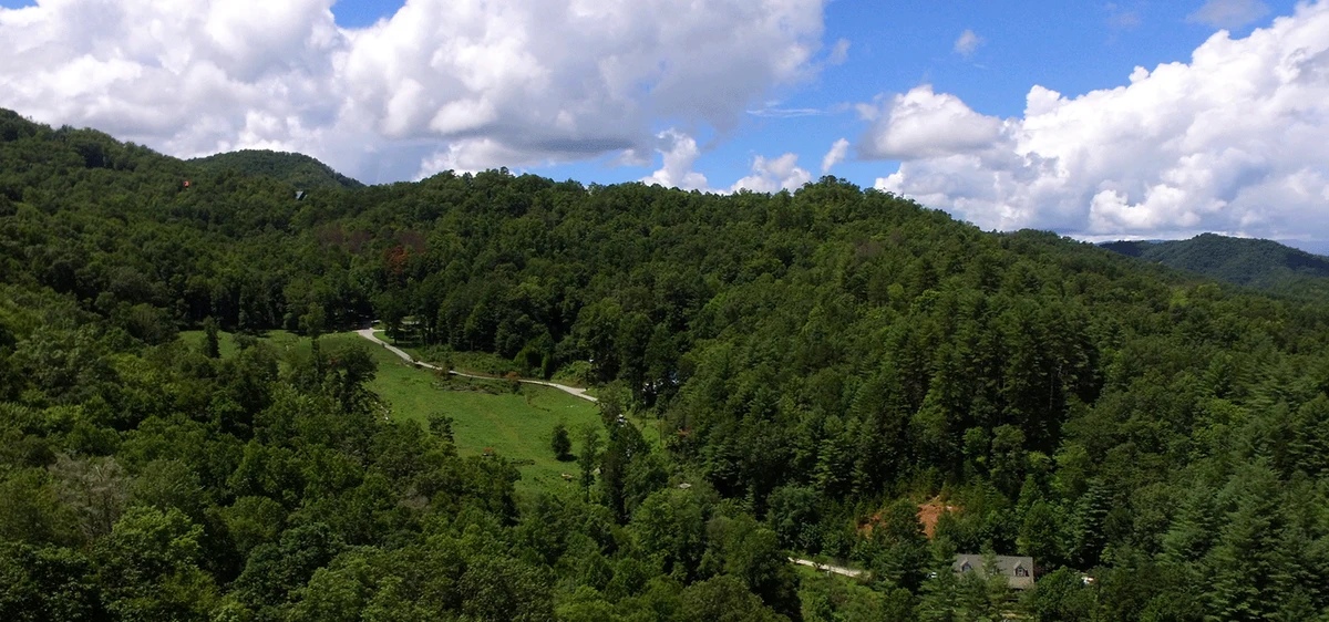 Wooded hillsides beneath a blue sky at Long Branch Estates