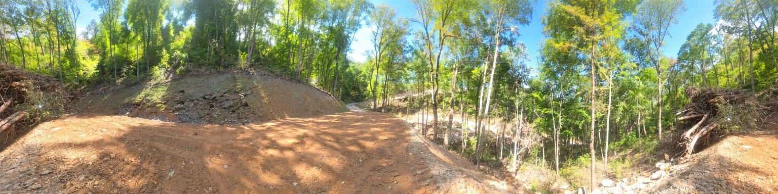 Woodland panorama: a wide photograph of the property and its surroundings