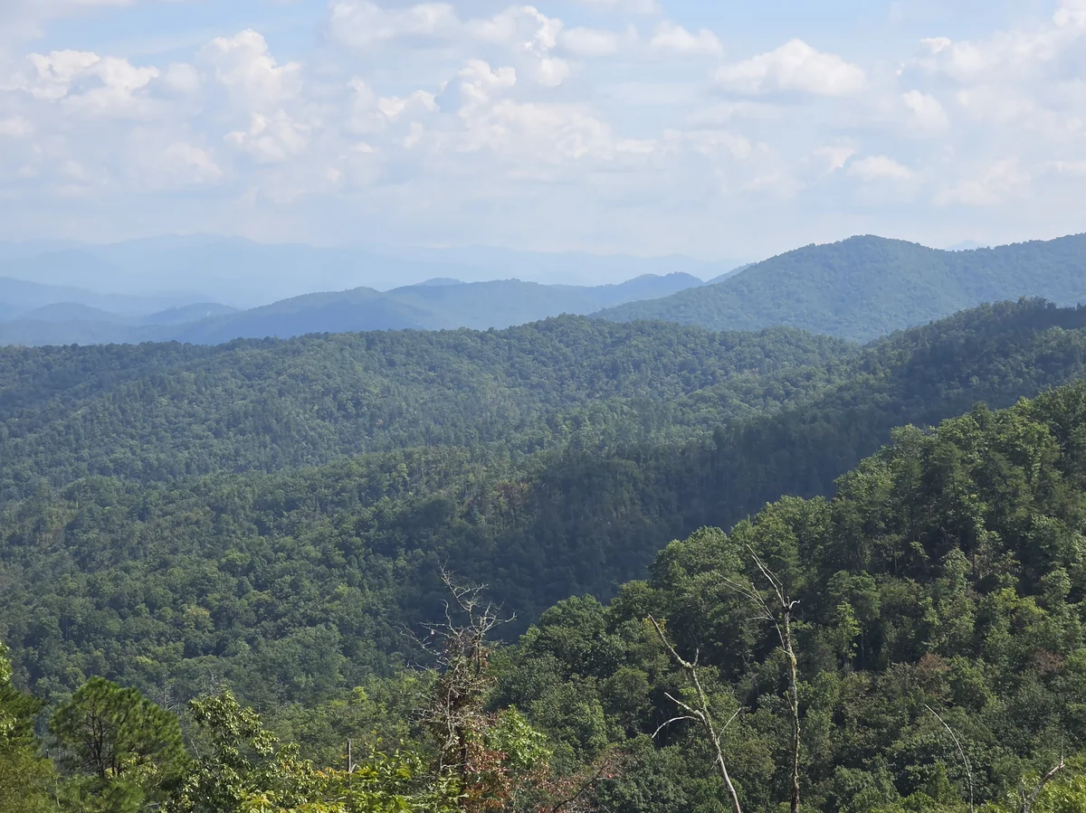 Forested ridgelines and hazy mountains from the Lot 11 photo stop