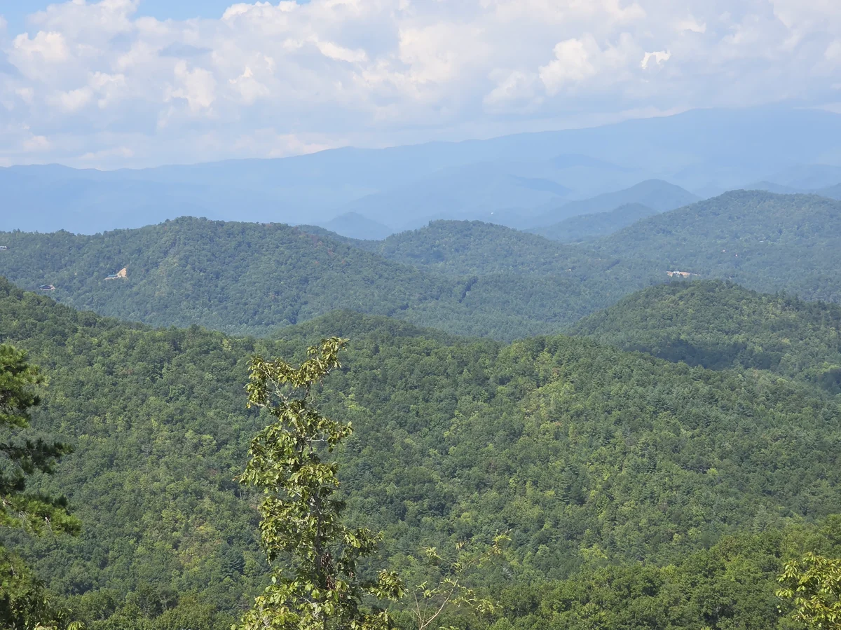 Layers of wooded ridges from the Lot 11 photo stop