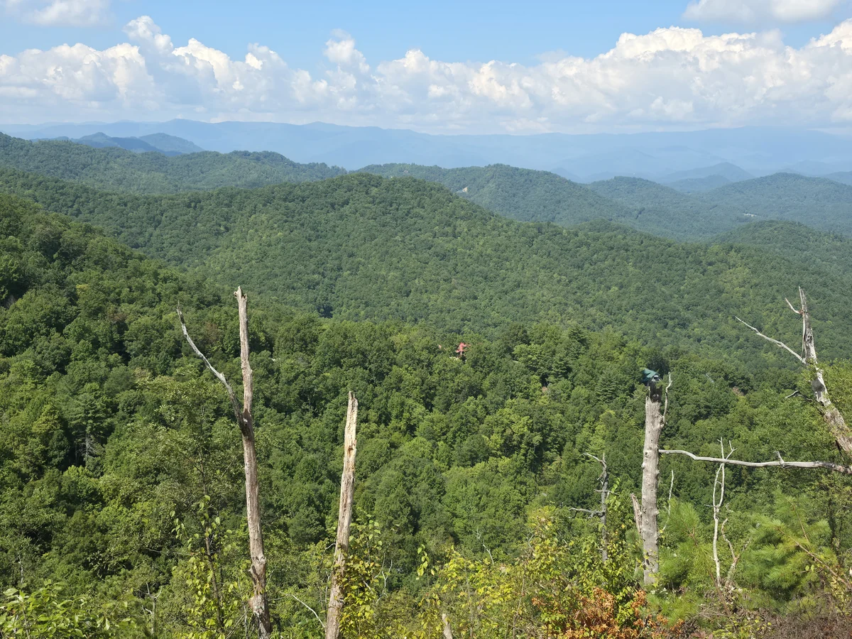 Wooded ridges fading into the distance in the supplied Lot 12 collection