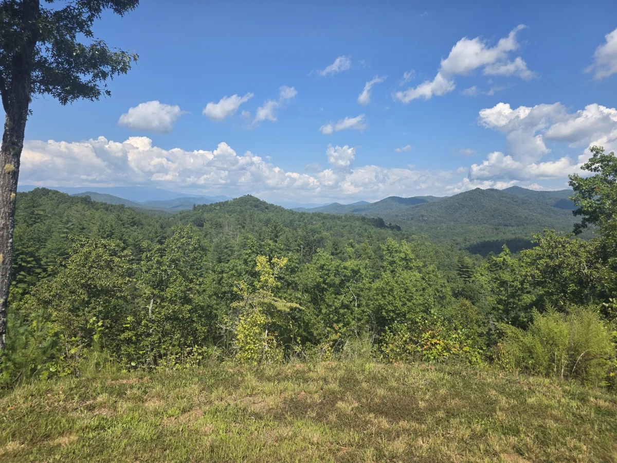 Layered mountain ridges and forest photographed from Lot 4