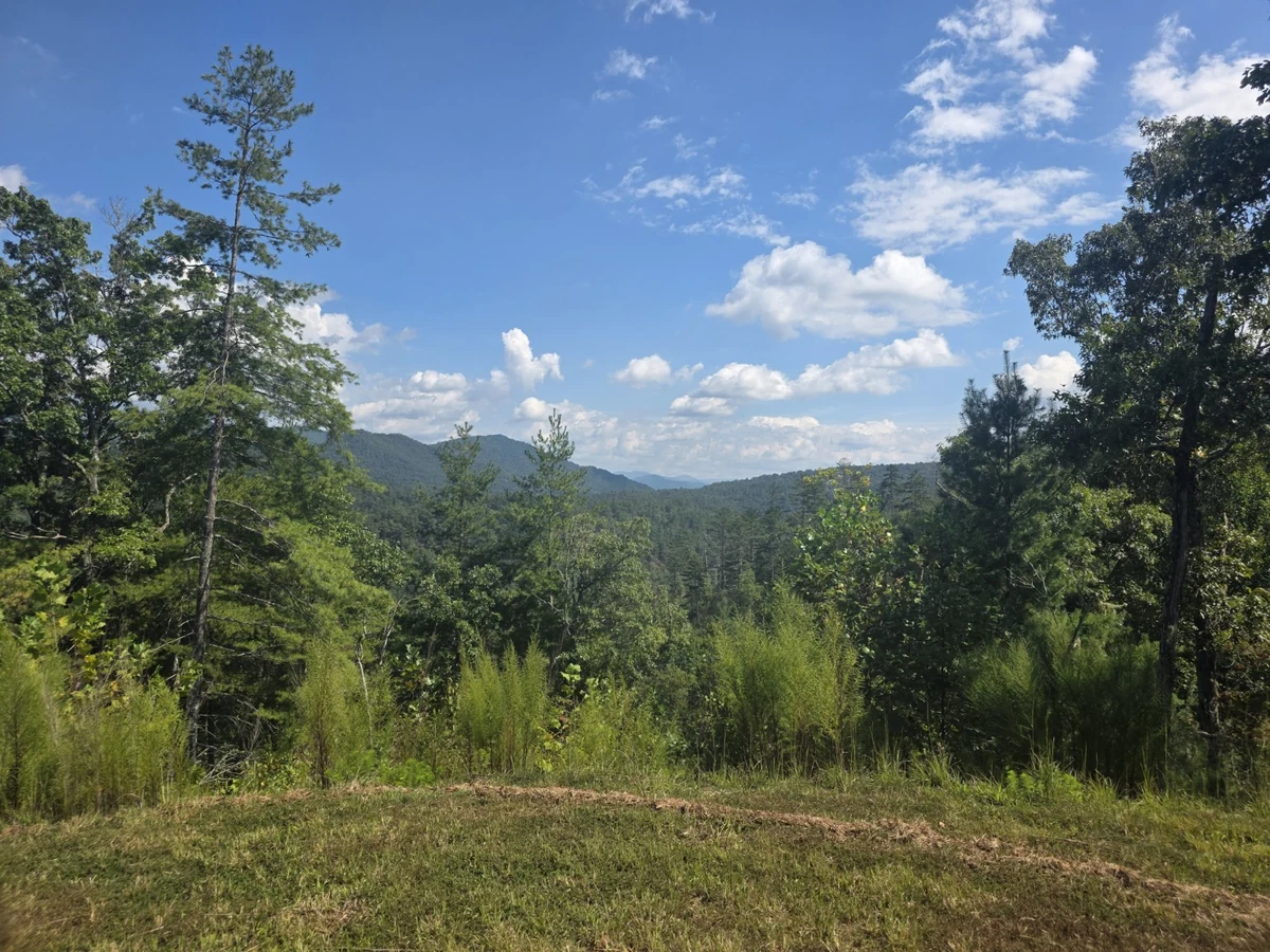 Wooded slopes and mountain scenery photographed from Lot 4