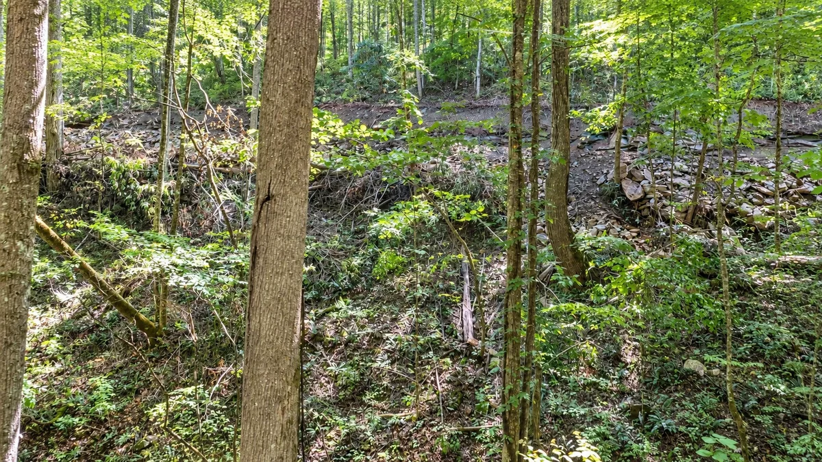 Secluded woodland and a rock-strewn hillside from the Lot 8 Valley View photo set