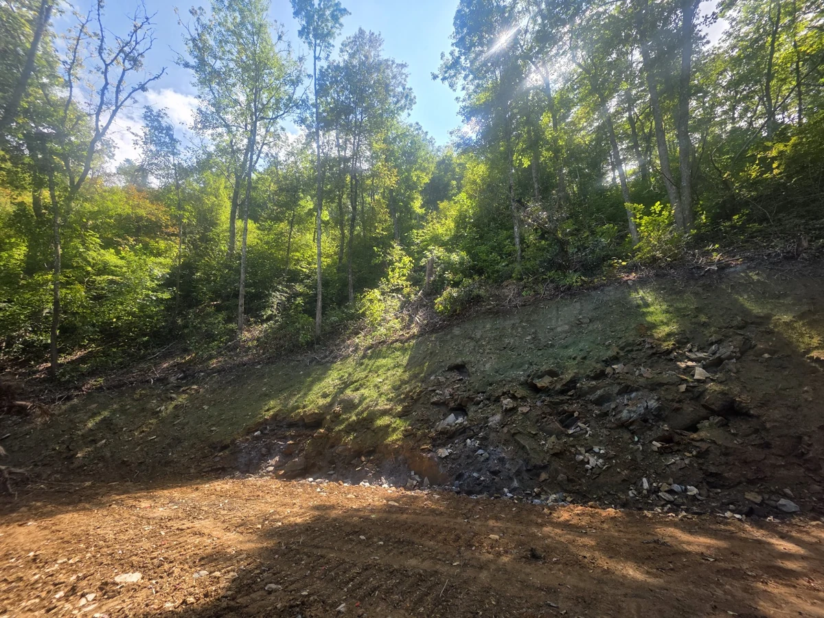 Sunlight through trees above an exposed wooded hillside at Long Branch Estates